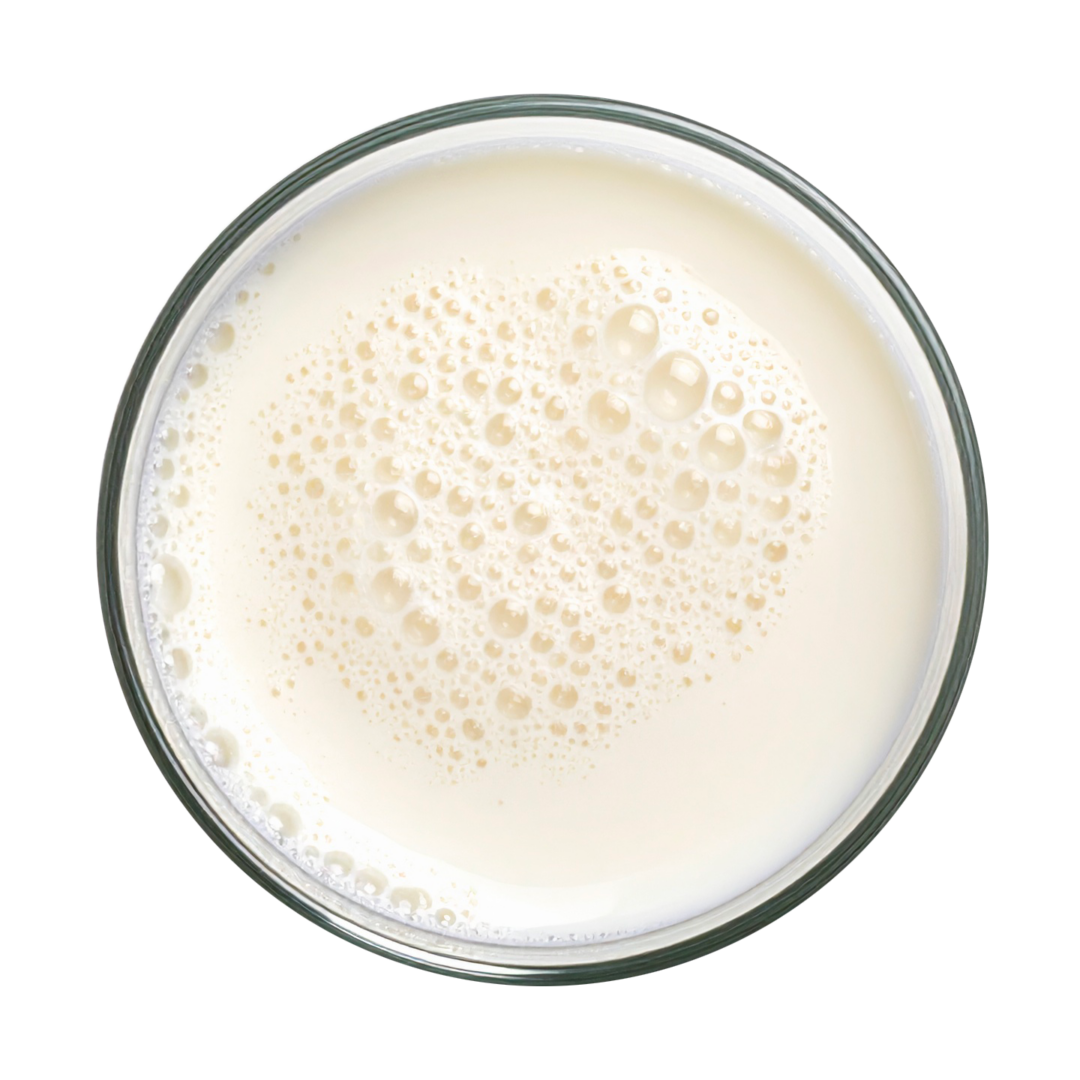 Lait en poudre Stalden Viva